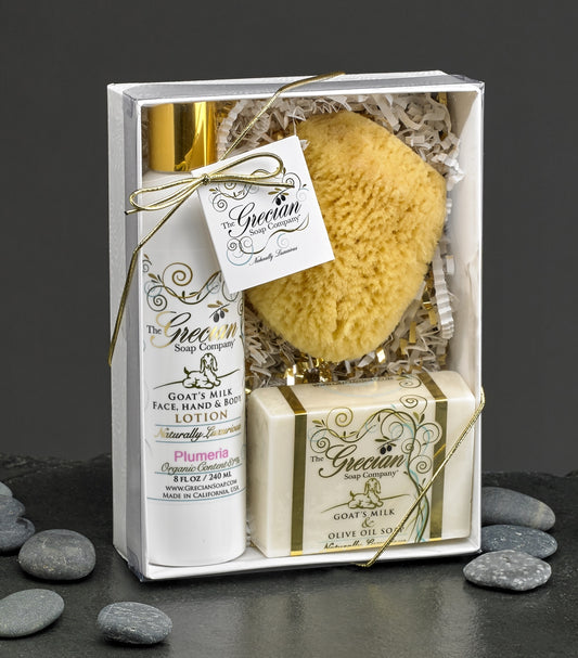 Greciansoap LSS-10 Coco Mango Lotion Soap & Sponge Gift Box
